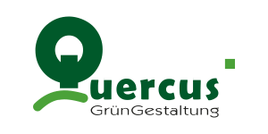 Quercus